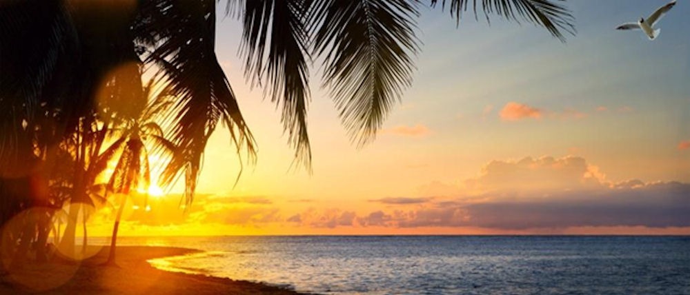 Palm trees silhouetted against a colorful ocean sunset.